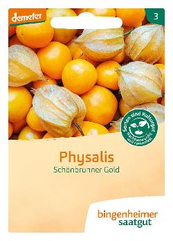 Saatgut Physalis Schönbrunner Gold