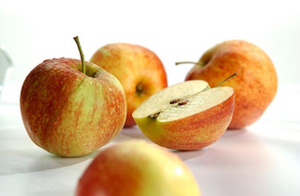 Produktfoto zu Äpfel 'Jonagored'