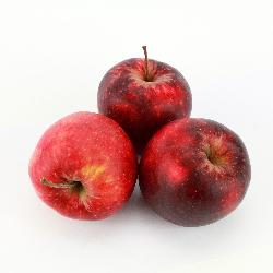 Äpfel 'Red Jonaprince'