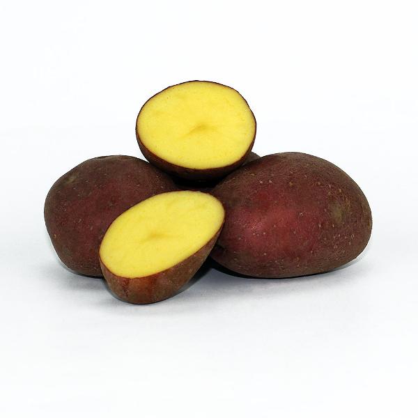 Produktfoto zu Kartoffeln Luna Rossa rotschalig vfk