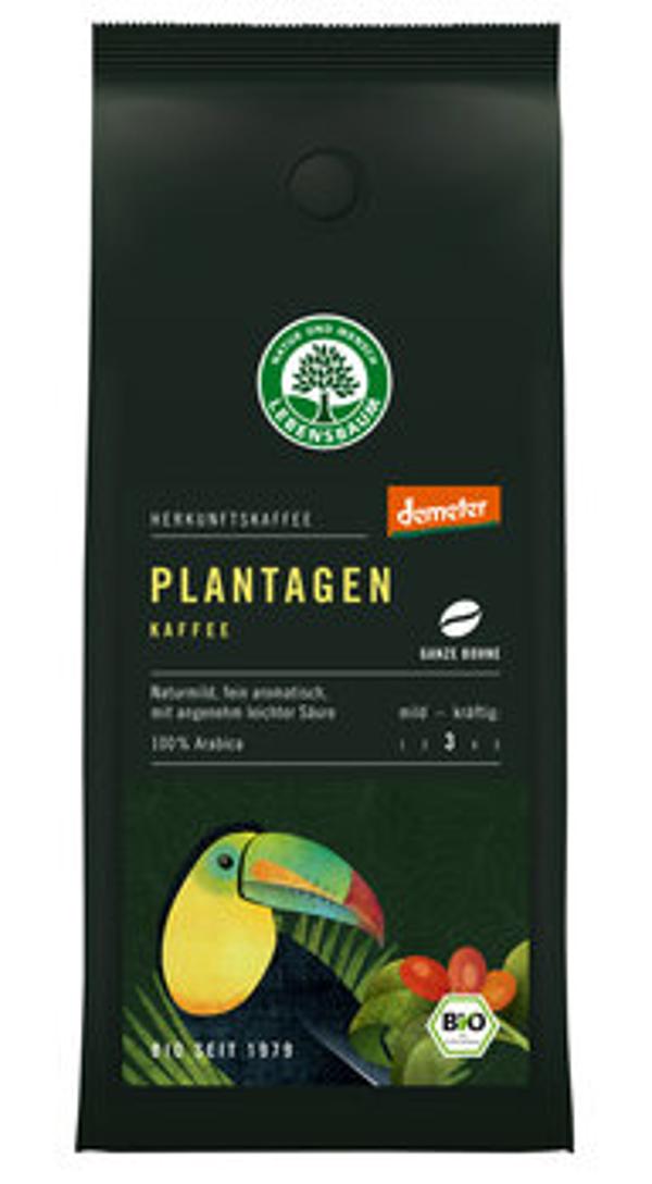 Produktfoto zu Plantagen-Kaffee Bohne (Demeter) 250g