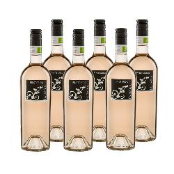 6 x 0,75l Pinot Grigio Rosé 'Blush' IGT La Jara, Rosewein trocken