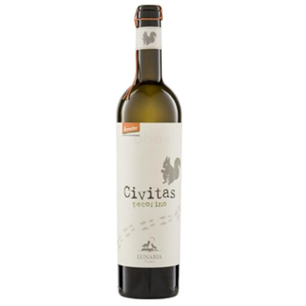 Produktfoto zu Pecorino 'Civitas' Terre di Chieti IGP, Weißwein halbtrocken 0,75l