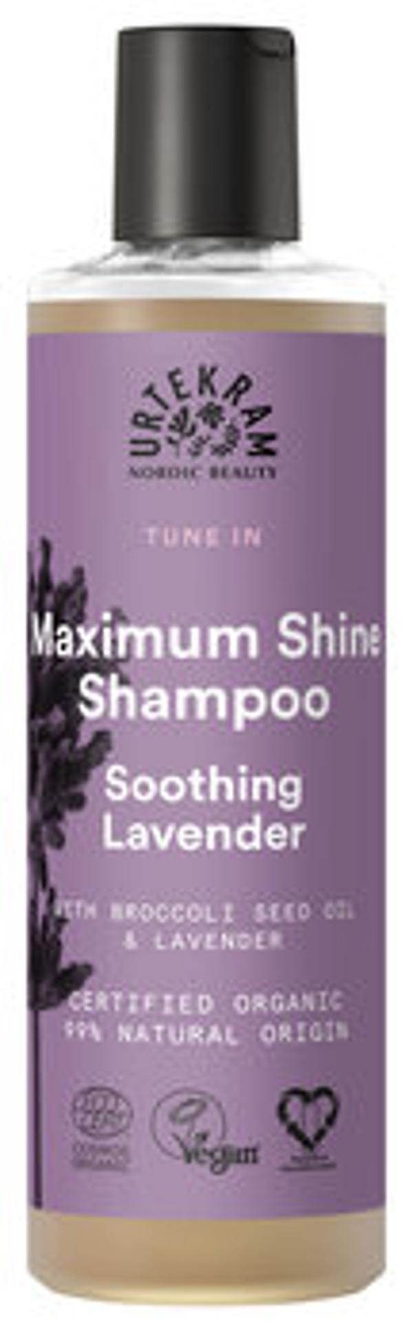 Produktfoto zu Shampoo Soothing Lavender 250ml