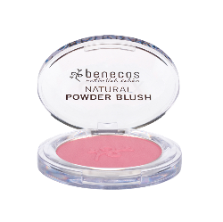Compact blush mallow rose