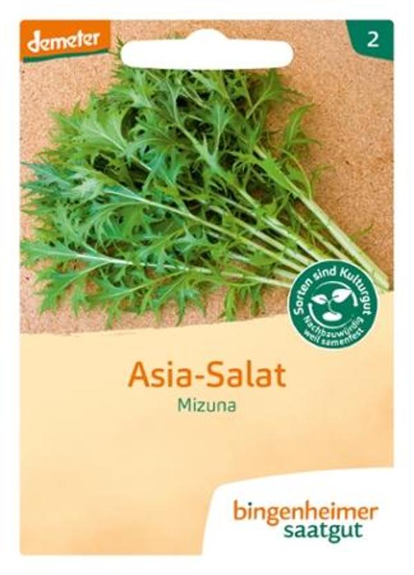 Produktfoto zu Saatgut Asia Salat Mizuna