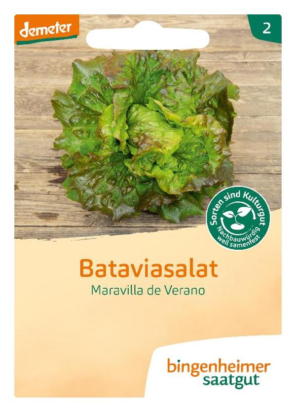 Produktfoto zu Saatgut Bataviasalat, Maravilla de Verano