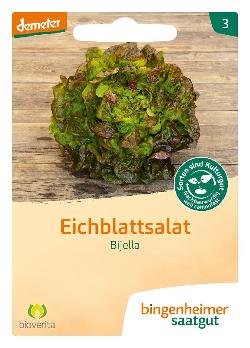 Saatgut Eichblattsalat Bijella