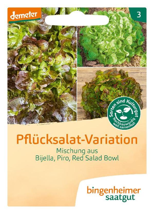 Produktfoto zu Saatgut Salat, Pflücksalatmischung