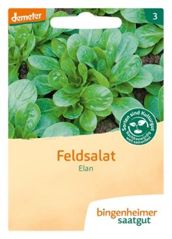 Produktfoto zu Saatgut Feldsalat Elan