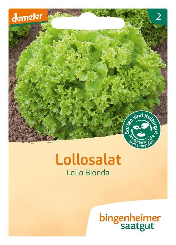 Produktfoto zu Saatgut Lollosalat Lollo Bionda