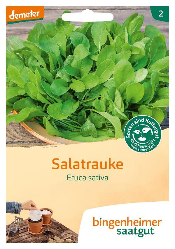 Produktfoto zu Saatgut Salatrauke Saatscheiben