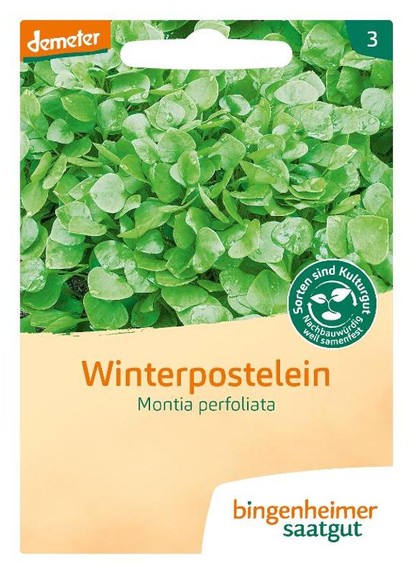 Produktfoto zu Saatgut Winterpostelein