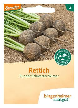 Saatgut Rettich, Runder Schwarzer Winter