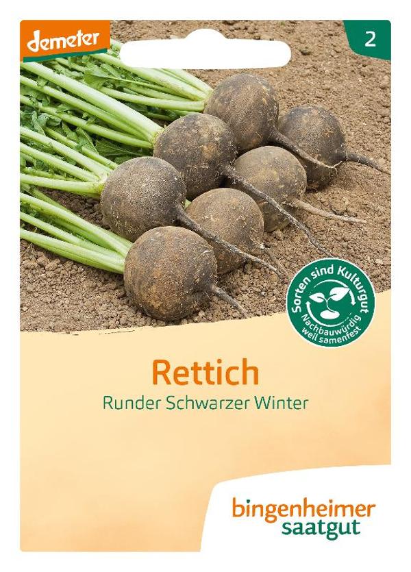 Produktfoto zu Saatgut Rettich, Runder Schwarzer Winter