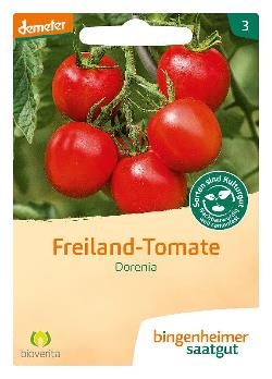 Saatgut Tomate Dorenia, Freiland -Tomate