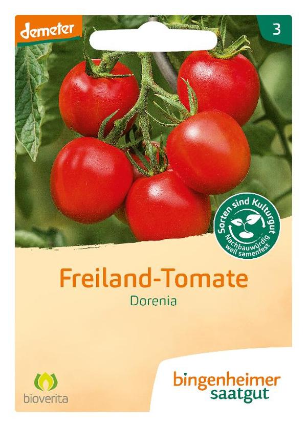 Produktfoto zu Saatgut Tomate Dorenia, Freiland -Tomate