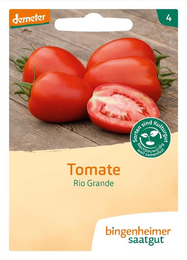 Produktfoto zu Saatgut Tomate Rio Grande