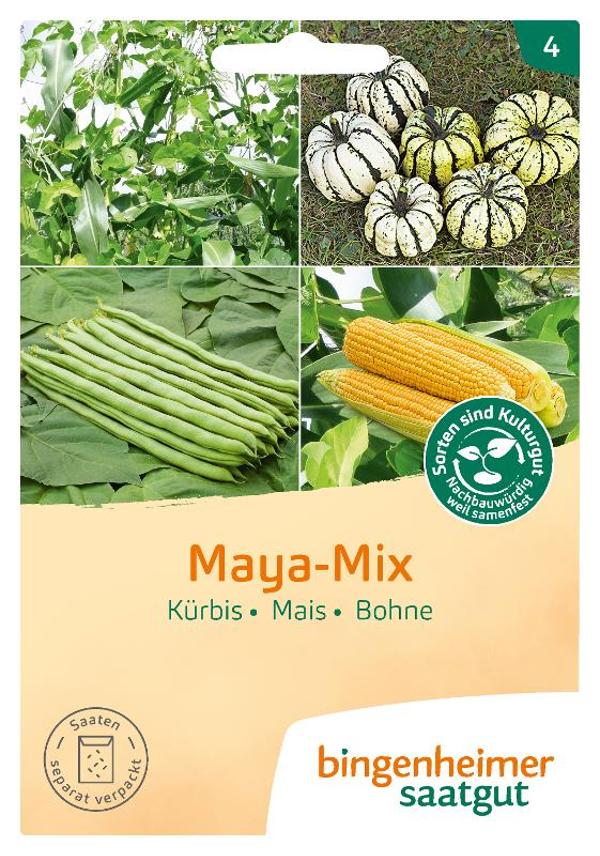 Produktfoto zu Saatgut Mischung Maja-Mix, Kürbis, Mais, Bohne