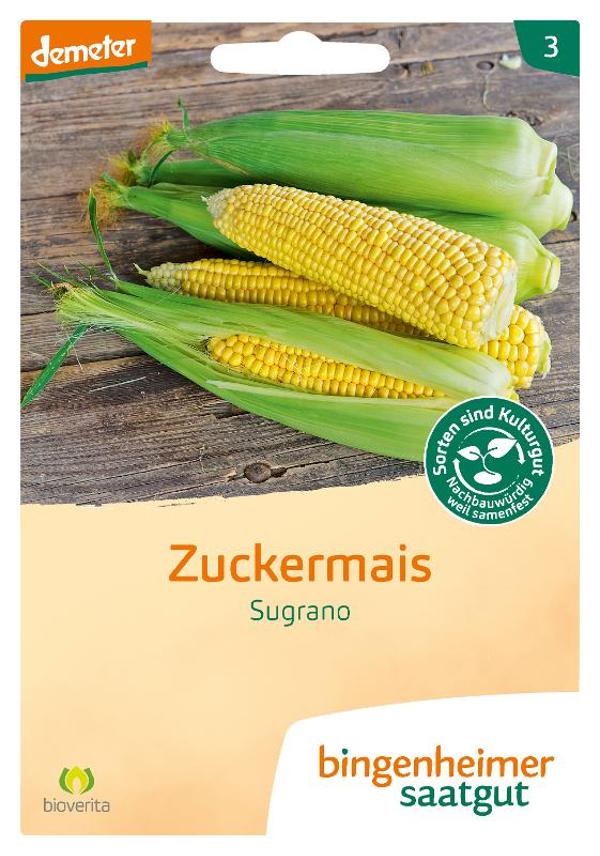 Produktfoto zu Saatgut Zuckermais Sugrano