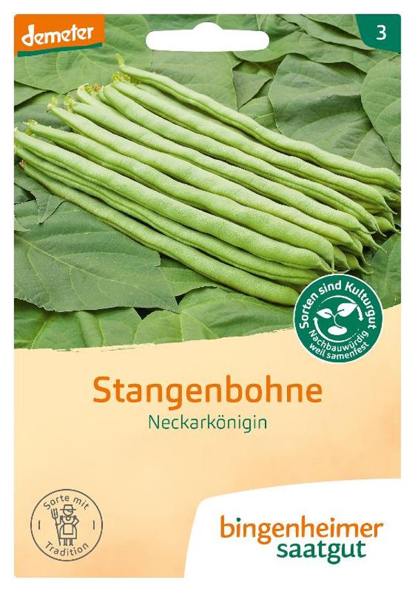 Produktfoto zu Saatgut Stangenbohne Neckarkönigin