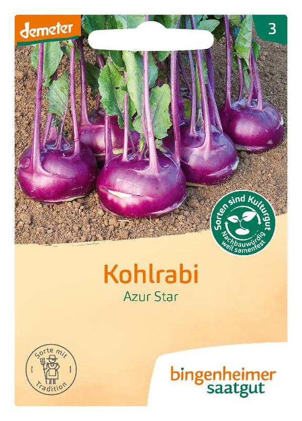 Produktfoto zu Saatgut Kohlrabi Azur Star