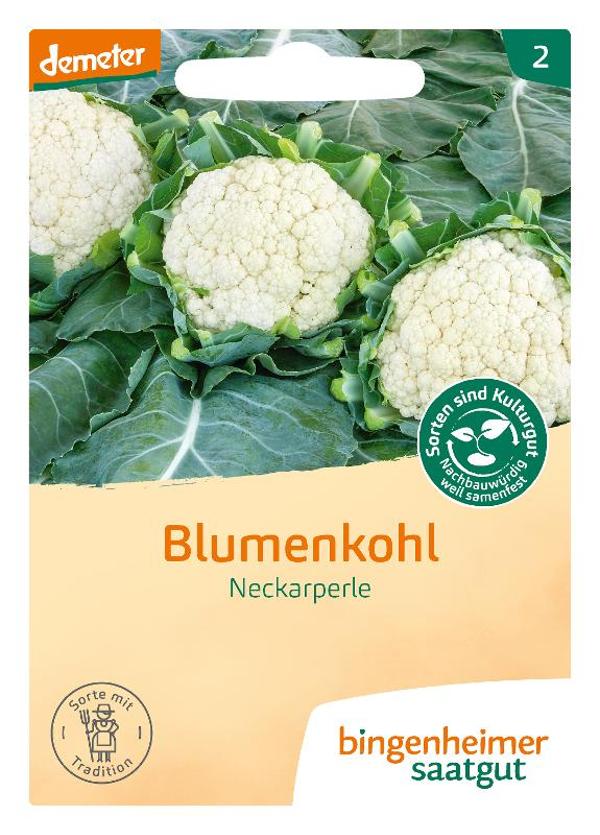 Produktfoto zu Saatgut Blumenkohl Neckarperle