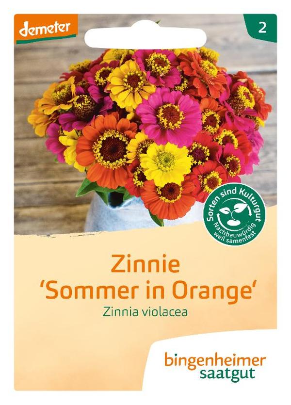 Produktfoto zu Saatgut Sommer in Orange
