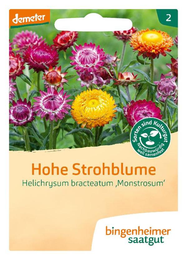 Produktfoto zu Saatgut Hohe Strohblume