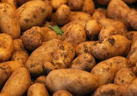 5 kg Früh-Kartoffeln