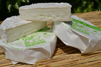 Le Caprice Ziegen-Camembert