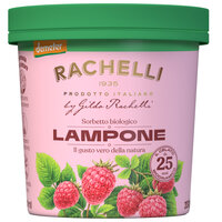 Himbeer Sorbet Familienbecher