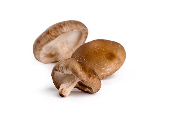 Produktfoto zu Shiitake Pilze 150g