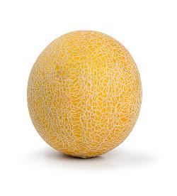 Mini Melone Galia ca.400g