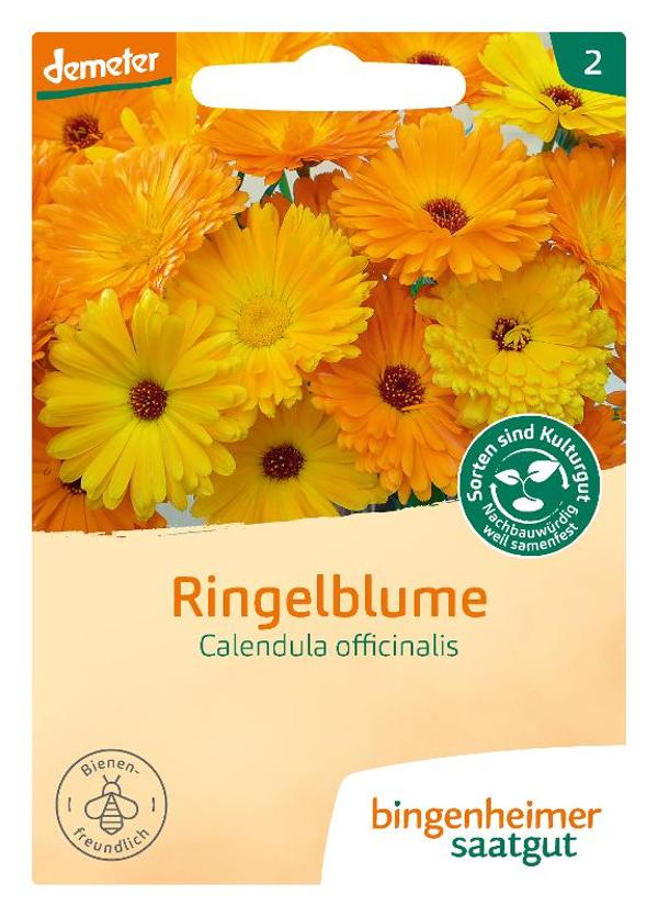 Produktfoto zu Ringelblume (Calendula)