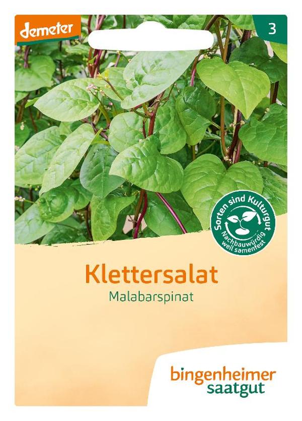 Produktfoto zu Klettersalat - Malabar Spinat