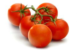 Strauch Tomaten