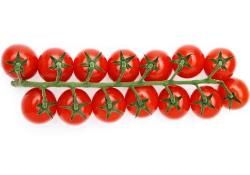 Cherry Strauch Tomaten