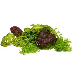 Pflücksalat Asia-Salat 100g Hüsgen