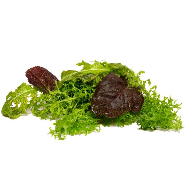 Produktfoto zu Pflücksalat Asia-Salat 100g Hüsgen