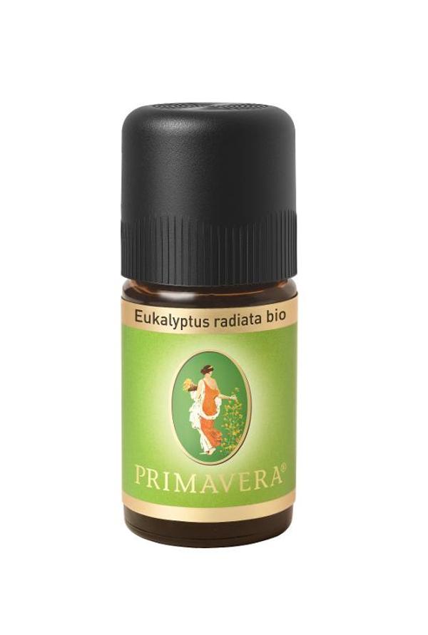 Produktfoto zu Eukalyptus radiata ätherisch