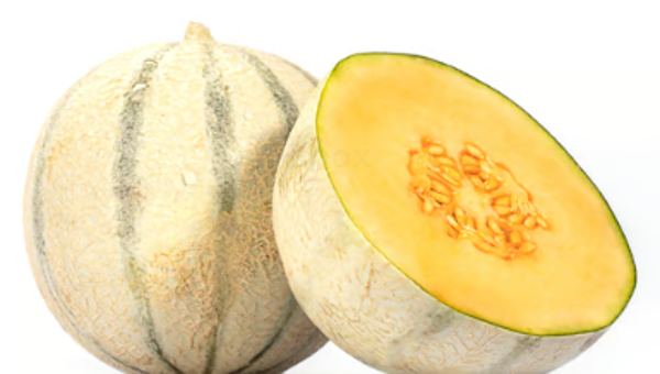 Produktfoto zu Melone Cantaloupe ca.650g