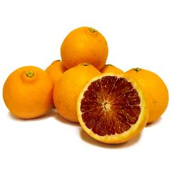 Halbblut Orangen Tarocco