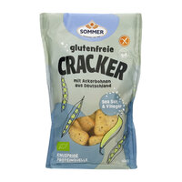 Bio glutenfreie Cracker Sea Salt & Vinegar 100g