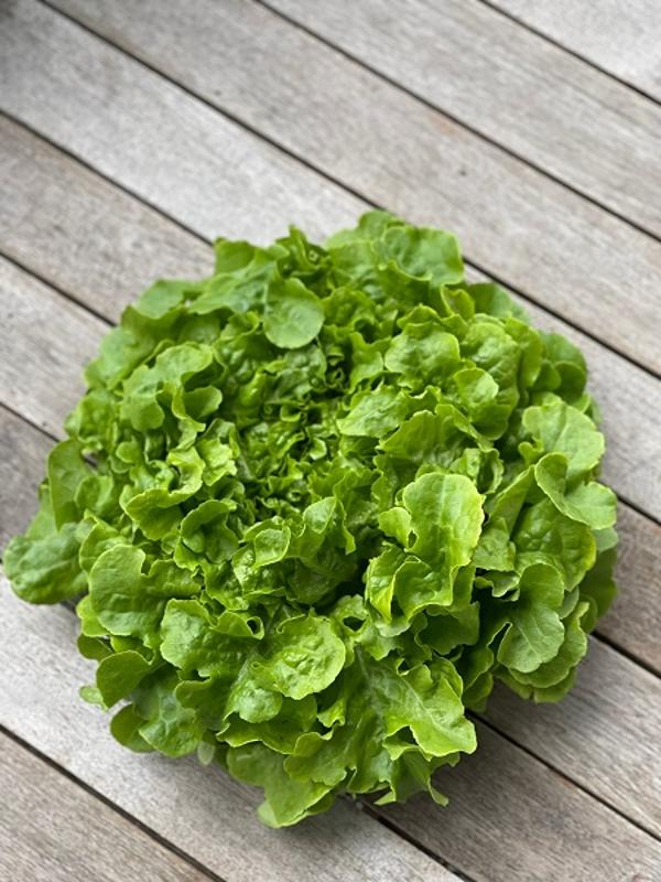 Produktfoto zu Salat