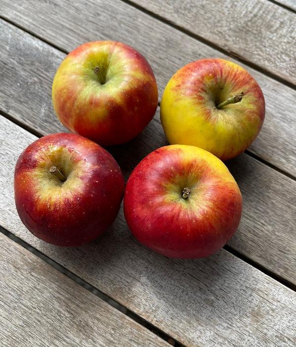 Produktfoto zu Äpfel, Jonagold