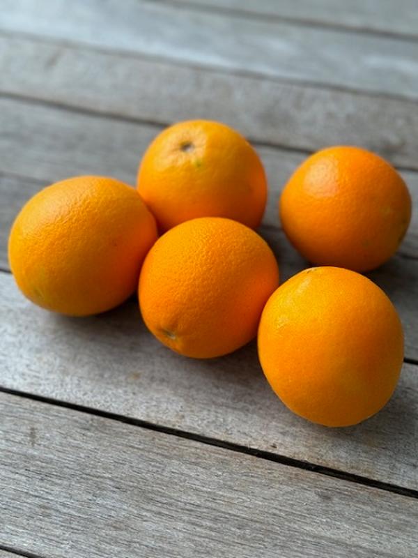 Produktfoto zu Orangen