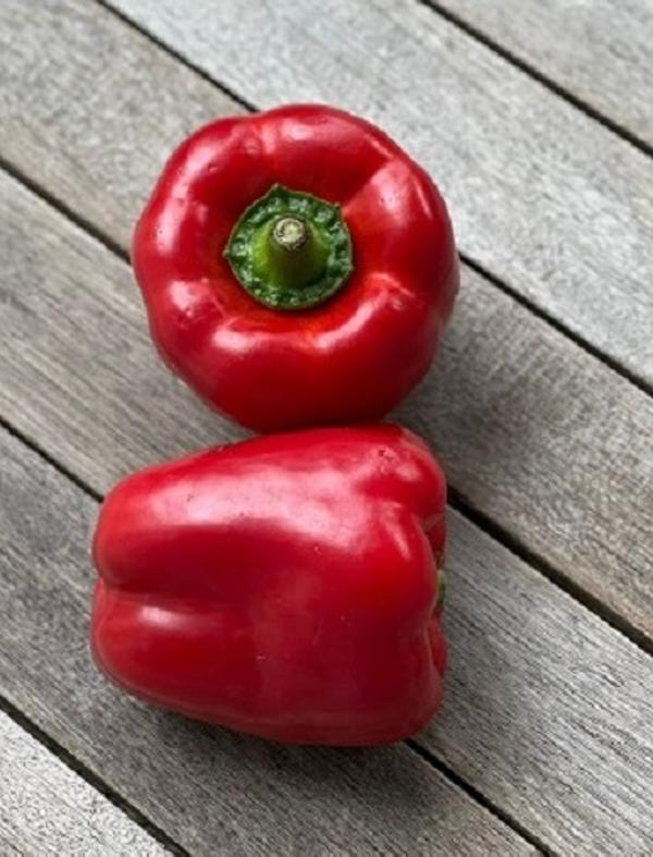 Produktfoto zu Paprika, rot