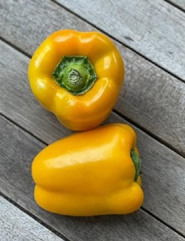 Produktfoto zu Paprika, gelb