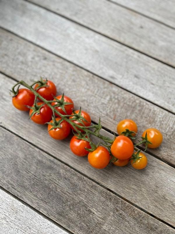Produktfoto zu Cherry-Strauch-Tomaten  250g Portion